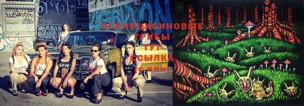 ПСИЛОЦИБИНОВЫЕ ГРИБЫ Абинск