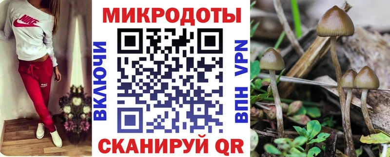 Галлюциногенные грибы Magic Shrooms  Палласовка 